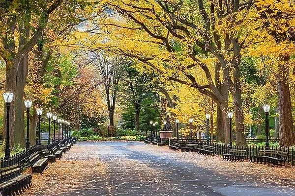 Central Park at The Mall in New York City during an autumn dawn