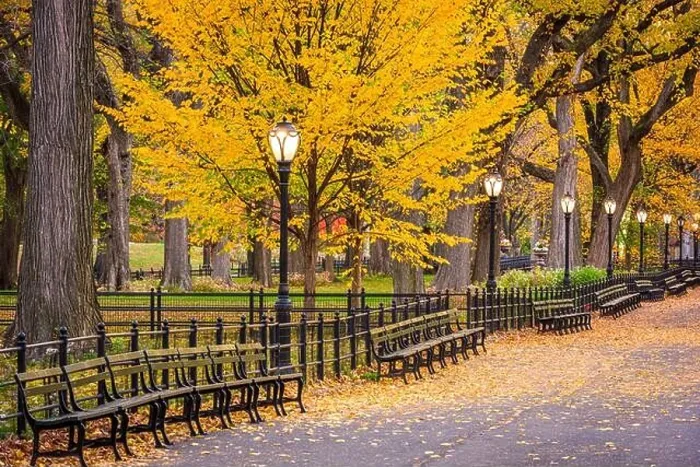 Framed Print : Central Park at The Mall in New York City during autumn dawn Framed Print : Central Park at The Mall in New York City during autumn dawn