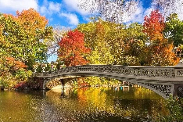 Central Park, New York City, USA at the Lake in autumn season