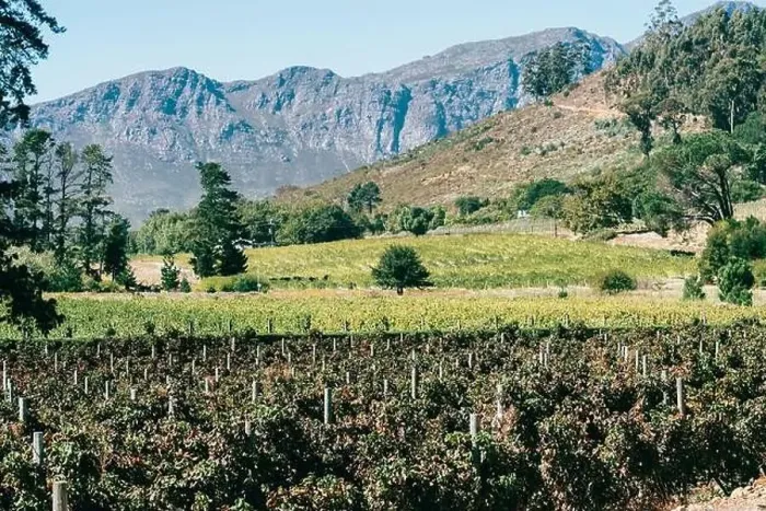 Framed Print : Centuries old vineyards at Franschhoek, Western Cape, South Africa Framed Print : Centuries old vineyards at Franschhoek, Western Cape, South Africa