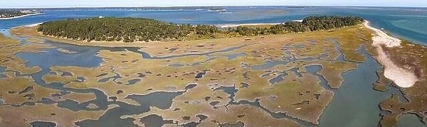 Channels meander through a salt marsh in Pleasant Bay, Cape Cod, Massachusetts. This type of wetland habitat is vital feeding grounds for wildlife