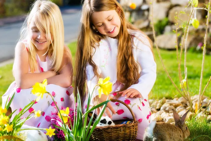 Framed Print : Children on an Easter Egg hunt on a meadow in spring, a living Easter Bunny is sitting in the Easter basket Framed Print : Children on an Easter Egg hunt on a meadow in spring, a living Easter Bunny is sitting in the Easter basket