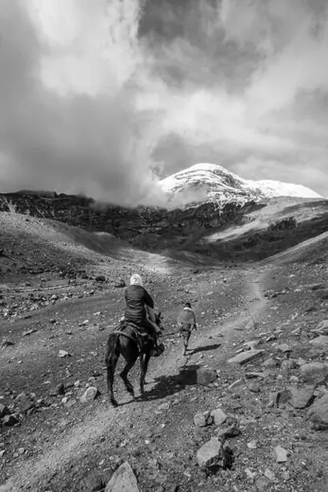 Framed Print : Chimborazo Framed Print : Chimborazo