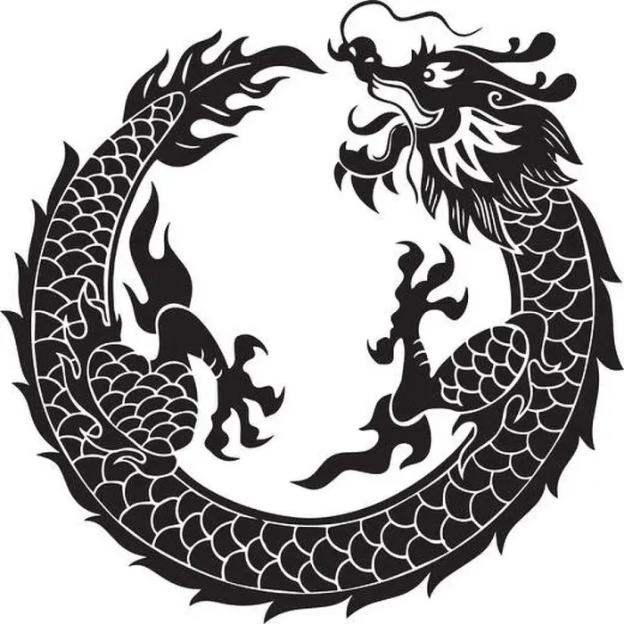 Framed Print : Chinese dragon vector design Framed Print : Chinese dragon vector design
