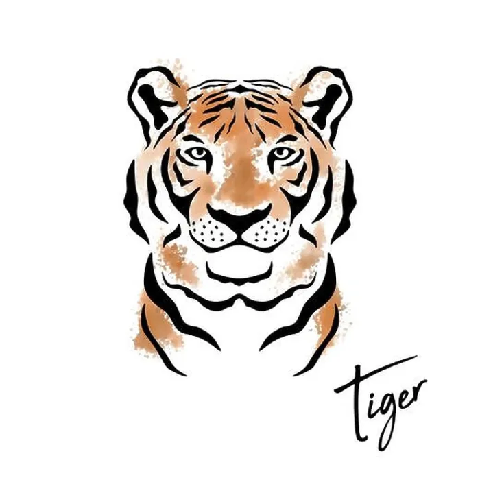 Framed Print : Chinese New Year 2022 Concept. Vector Hand Drawn Tiger Face Framed Print : Chinese New Year 2022 Concept. Vector Hand Drawn Tiger Face