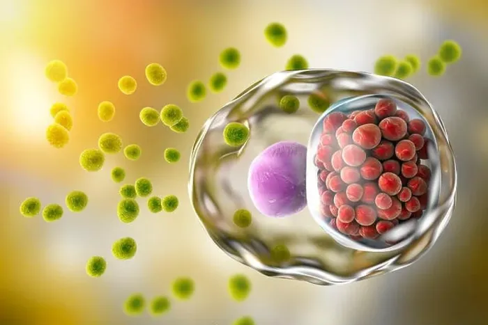 Framed Print : Chlamydia infection. Computer illustration of a cell infected with Chlamydia trachomatis bacteria Framed Print : Chlamydia infection. Computer illustration of a cell infected with Chlamydia trachomatis bacteria