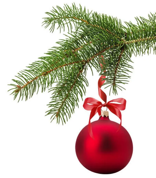 Framed Print : Christmas tree branch with red ball isolated on the white background Framed Print : Christmas tree branch with red ball isolated on the white background