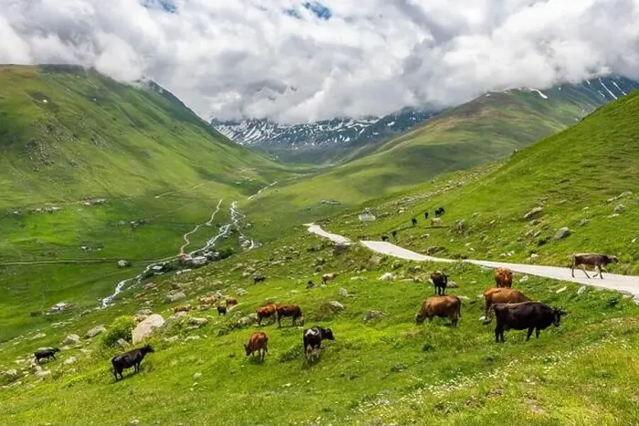 Framed Print : Cicekli Plateau in Camlihemsin district of Rize province Framed Print : Cicekli Plateau in Camlihemsin district of Rize province