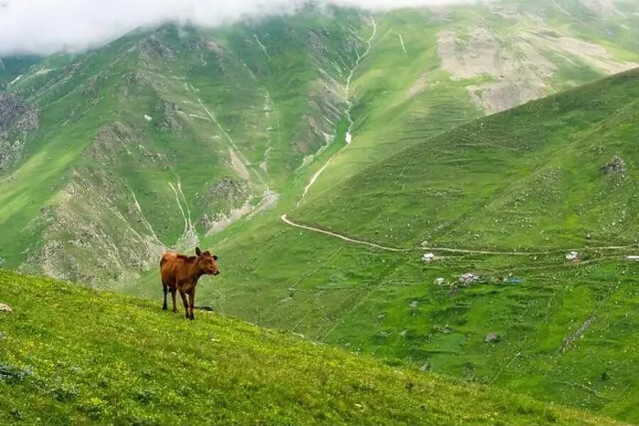 Framed Print : Cicekli Plateau in Camlihemsin district of Rize province Framed Print : Cicekli Plateau in Camlihemsin district of Rize province