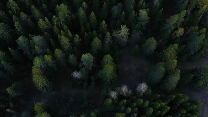 Framed Print : Cinematic aerial shot of an endless hills and forest landscape in southern Slovenia Framed Print : Cinematic aerial shot of an endless hills and forest landscape in southern Slovenia