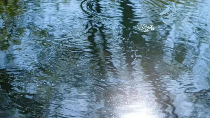 Framed Print : Circles on the water in the river from the movement of fish, fishing