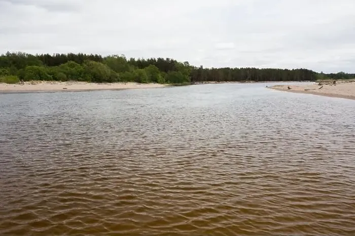 Framed Print : City Carnikava, Latvia. Green nature in summer with River Gauja and waves. 03.06.2020 Framed Print : City Carnikava, Latvia. Green nature in summer with River Gauja and waves. 03.06.2020