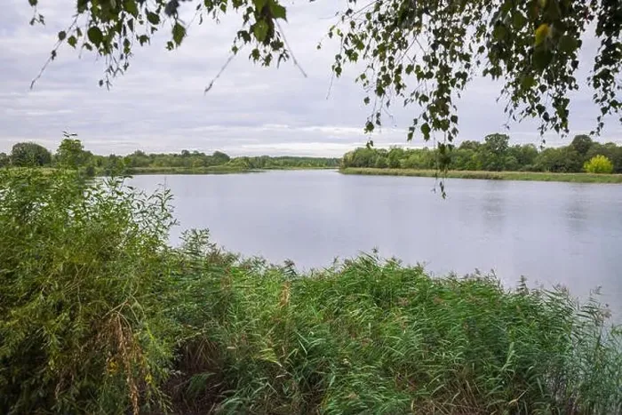 Framed Print : City Carnikava, Latvian Republic. Green nature in summer with River Gauja and waves. Travel photo. Sep 04. 2019 Framed Print : City Carnikava, Latvian Republic. Green nature in summer with River Gauja and waves. Travel photo. Sep 04. 2019