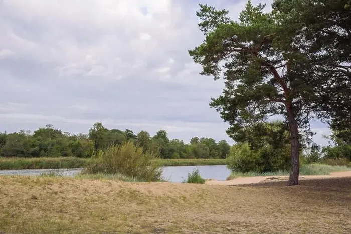 Framed Print : City Carnikava, Latvian Republic. Green nature in summer with River Gauja and waves. Travel photo. Sep 04. 2019 Framed Print : City Carnikava, Latvian Republic. Green nature in summer with River Gauja and waves. Travel photo. Sep 04. 2019