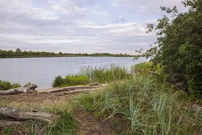 Framed Print : City Carnikava, Latvian Republic. Green nature in summer with River Gauja and waves. Travel photo. Sep 04. 2019 Framed Print : City Carnikava, Latvian Republic. Green nature in summer with River Gauja and waves. Travel photo. Sep 04. 2019