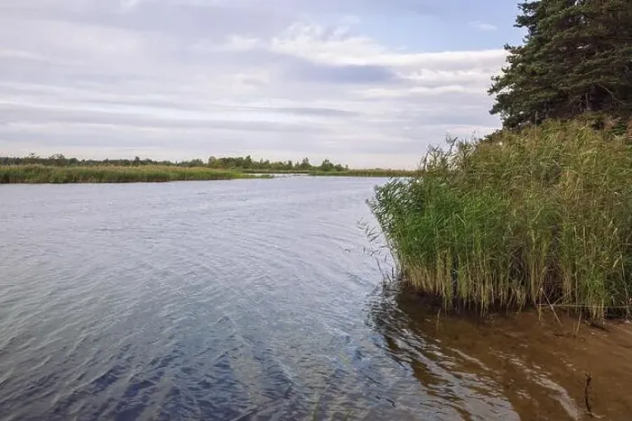 Framed Print : City Carnikava, Latvian Republic. Green nature in summer with River Gauja and waves. Travel photo. Sep 04. 2019 Framed Print : City Carnikava, Latvian Republic. Green nature in summer with River Gauja and waves. Travel photo. Sep 04. 2019