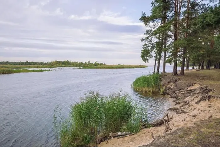 Framed Print : City Carnikava, Latvian Republic. Green nature in summer with River Gauja and waves. Travel photo. Sep 04. 2019 Framed Print : City Carnikava, Latvian Republic. Green nature in summer with River Gauja and waves. Travel photo. Sep 04. 2019