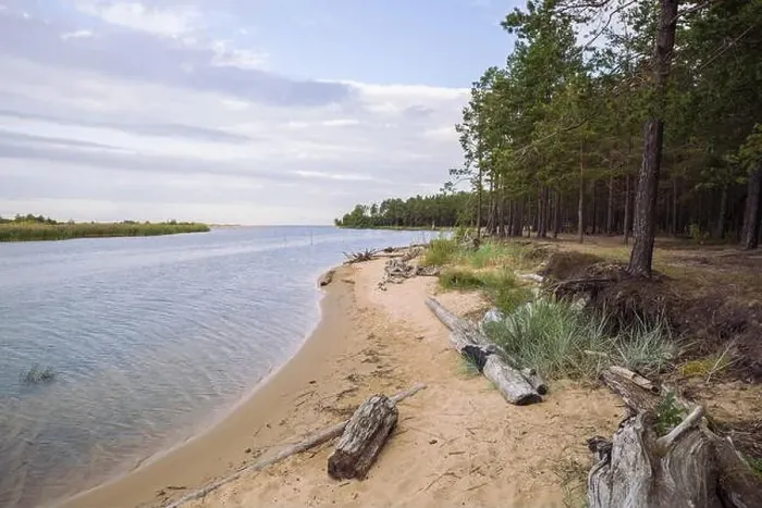 Framed Print : City Carnikava, Latvian Republic. Green nature in summer with River Gauja and waves. Travel photo. Sep 04. 2019 Framed Print : City Carnikava, Latvian Republic. Green nature in summer with River Gauja and waves. Travel photo. Sep 04. 2019