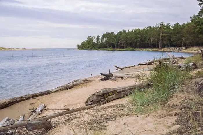 Framed Print : City Carnikava, Latvian Republic. Green nature in summer with River Gauja and waves. Travel photo. Sep 04. 2019 Framed Print : City Carnikava, Latvian Republic. Green nature in summer with River Gauja and waves. Travel photo. Sep 04. 2019
