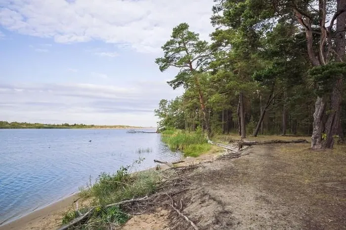 Framed Print : City Carnikava, Latvian Republic. Green nature in summer with River Gauja and waves. Travel photo. Sep 04. 2019 Framed Print : City Carnikava, Latvian Republic. Green nature in summer with River Gauja and waves. Travel photo. Sep 04. 2019