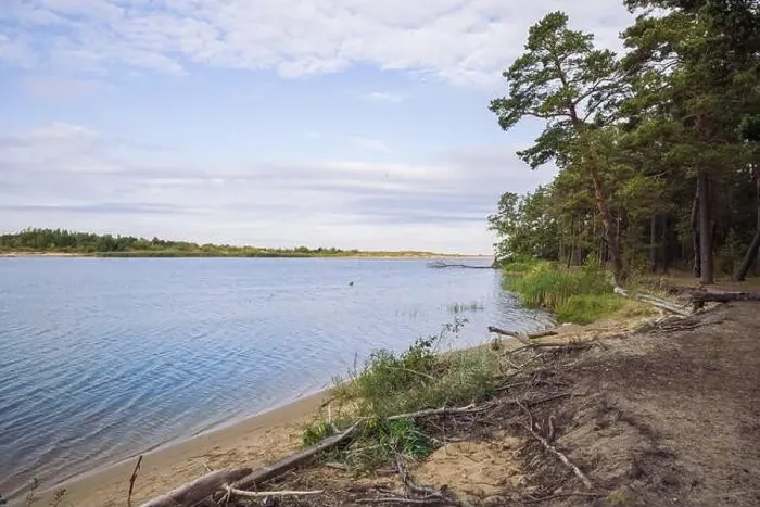 Framed Print : City Carnikava, Latvian Republic. Green nature in summer with River Gauja and waves. Travel photo. Sep 04. 2019 Framed Print : City Carnikava, Latvian Republic. Green nature in summer with River Gauja and waves. Travel photo. Sep 04. 2019