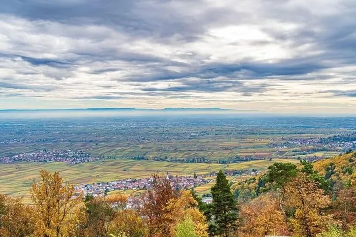 Framed Print : A city can be seen in the distance under a cloudy sky from a hill covered with trees in the foreground Framed Print : A city can be seen in the distance under a cloudy sky from a hill covered with trees in the foreground