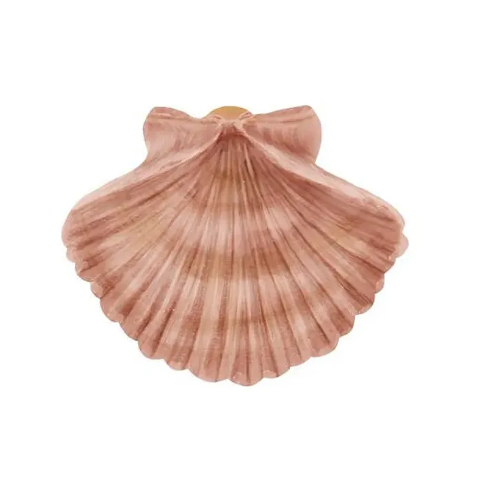 Framed Print : Clam shell, sea and river scallop Framed Print : Clam shell, sea and river scallop