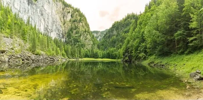 Framed Print : Clear water in a forest lake with pine trees, summer mountain pass. Green mountain lake view, freshness and tranquility Framed Print : Clear water in a forest lake with pine trees, summer mountain pass. Green mountain lake view, freshness and tranquility