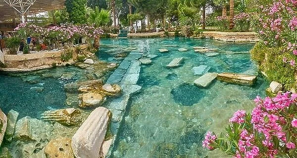 Cleopatra pool, blooming flowers, Hierapolis Ancient City, Pamukkale, Turkey