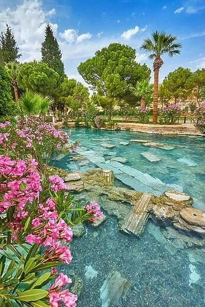 Cleopatra pool with blooming flowers, Pamukkale, Turkey