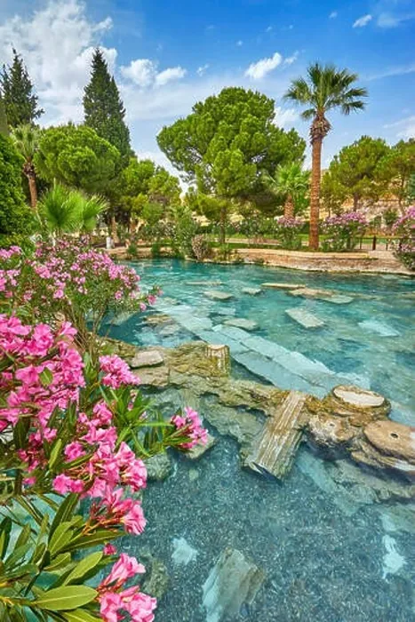 Framed Print : Cleopatra pool with blooming flowers, Pamukkale, Turkey