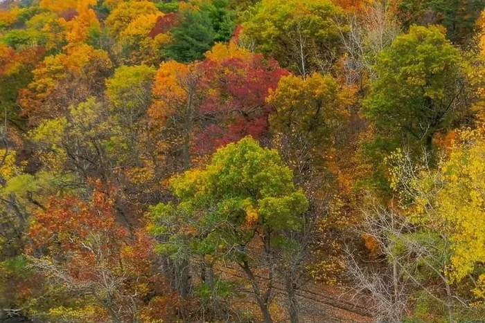 Framed Print : Closeup aerial image of colorful fall foliage looking down Framed Print : Closeup aerial image of colorful fall foliage looking down