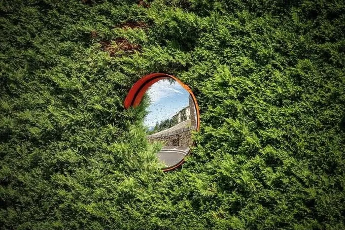 Framed Print : Closeup of a circular safety road mirror partially covered by a green hedge. Italy, Europe Framed Print : Closeup of a circular safety road mirror partially covered by a green hedge. Italy, Europe