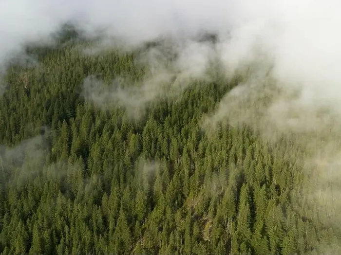 Framed Print : Clouds drift across the rugged, forested landscape in North Cascades National Park. This mountainous region of Washington is heavily forested