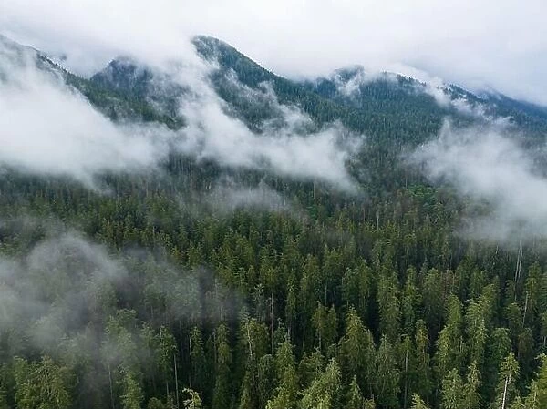 Clouds drift across the rugged, forested landscape in Olympic National Park. This mountainous region of western Washington is absolutely beautiful