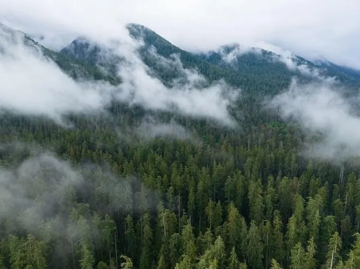 Framed Print : Clouds drift across the rugged, forested landscape in Olympic National Park. This mountainous region of western Washington is absolutely beautiful Framed Print : Clouds drift across the rugged, forested landscape in Olympic National Park. This mountainous region of western Washington is absolutely beautiful