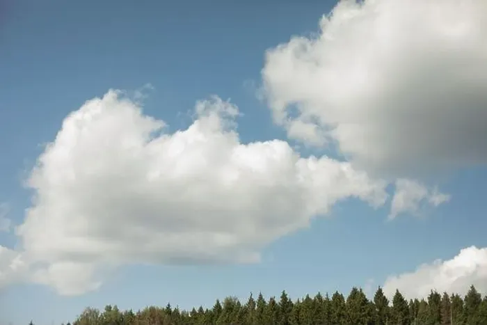 Framed Print : Clouds fly over forest. Spruce forest and sky. Natural landscape. Summer weather Framed Print : Clouds fly over forest. Spruce forest and sky. Natural landscape. Summer weather