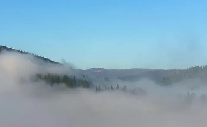 Framed Print : Above the clouds View of pine trees under fog on Carpathian mountains