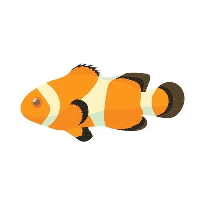 Framed Print : Clown fish icon, cartoon style