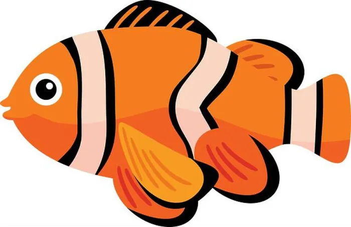 Framed Print : clownfish fish icon