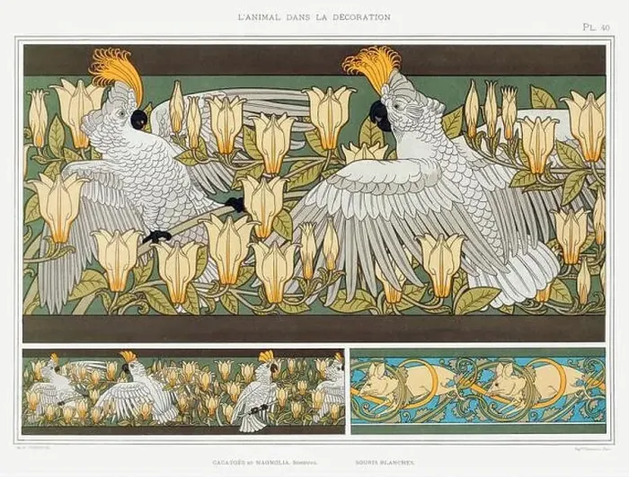 Framed Print : Cockatoo / Illustration from L'animal dans la decoration (1897) by Maurice Pillard Verneuil Framed Print : Cockatoo / Illustration from L'animal dans la decoration (1897) by Maurice Pillard Verneuil