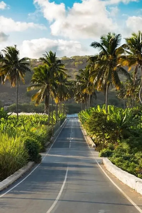 Framed Print : Coconut, banana, and sugar canne plantation near Achada Fazenda in Santiago Island in Cape Verde - Cabo Verde