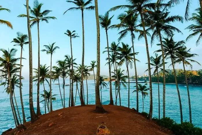 Framed Print : Coconut tree hill in Mirissa Beach. Sri Lanka Framed Print : Coconut tree hill in Mirissa Beach. Sri Lanka