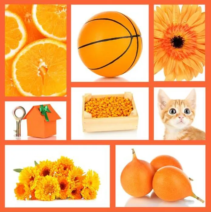 Framed Print : Collage of photos in orange color Framed Print : Collage of photos in orange color