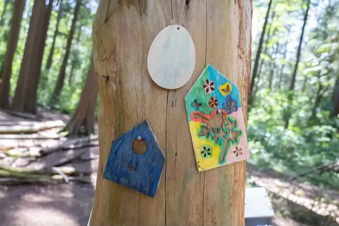 Framed Print : Collection of birdhouses made by children and placed on fallen trees in the forest Framed Print : Collection of birdhouses made by children and placed on fallen trees in the forest