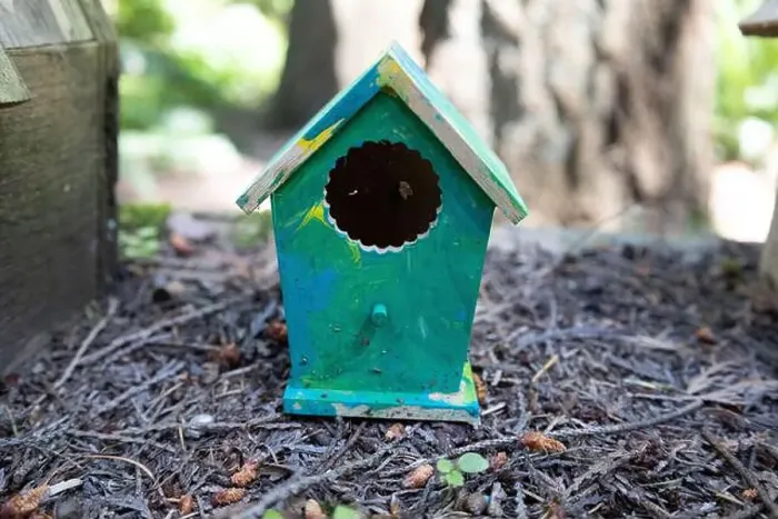 Framed Print : Collection of birdhouses made by children and placed on fallen trees in the forest