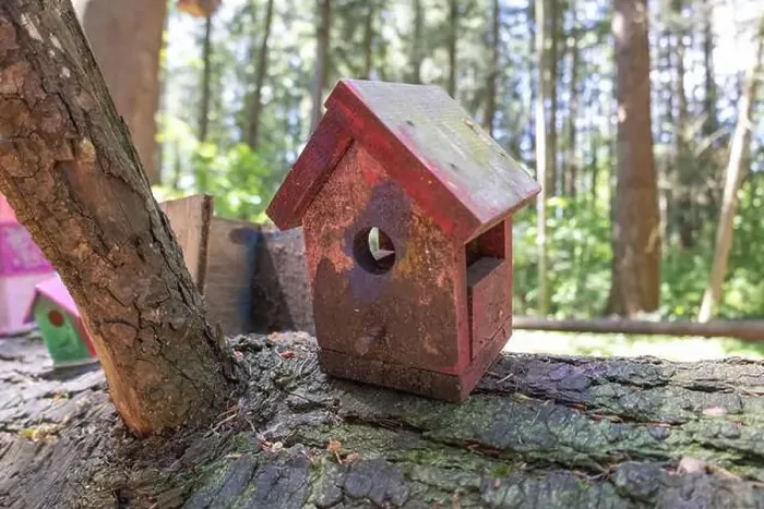 Framed Print : Collection of birdhouses made by children and placed on fallen trees in the forest Framed Print : Collection of birdhouses made by children and placed on fallen trees in the forest