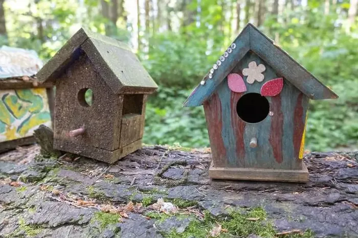 Framed Print : Collection of birdhouses made by children and placed on fallen trees in the forest Framed Print : Collection of birdhouses made by children and placed on fallen trees in the forest