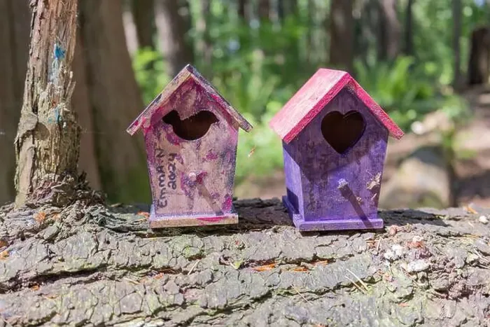 Framed Print : Collection of birdhouses made by children and placed on fallen trees in the forest Framed Print : Collection of birdhouses made by children and placed on fallen trees in the forest