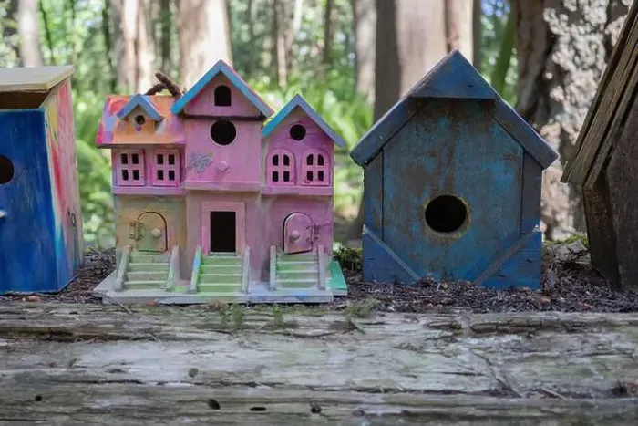 Framed Print : Collection of birdhouses made by children and placed on fallen trees in the forest Framed Print : Collection of birdhouses made by children and placed on fallen trees in the forest